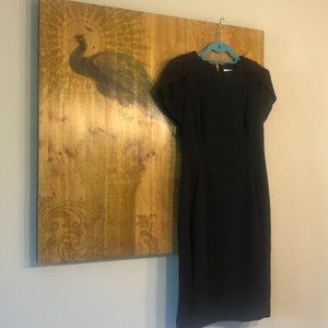 Calvin Klein Black Dress size 10 Tulip Sleeves